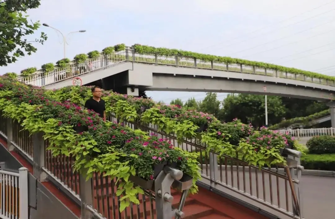 聚焦聊城重点城建工程建设： 架起“连心桥” 解决“行路难”