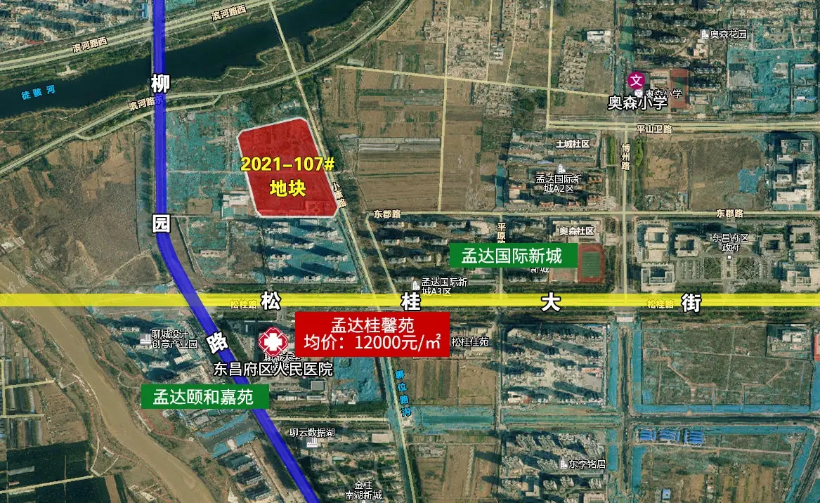 聊自然资规告字[2021]0904号