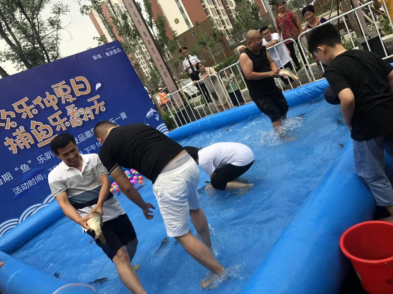 “鱼”乐无穷！鲜活大鱼一扫而光